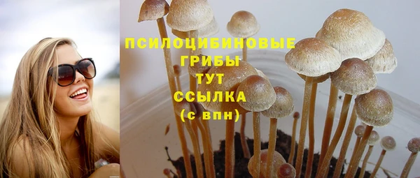 эйфоретик Осташков