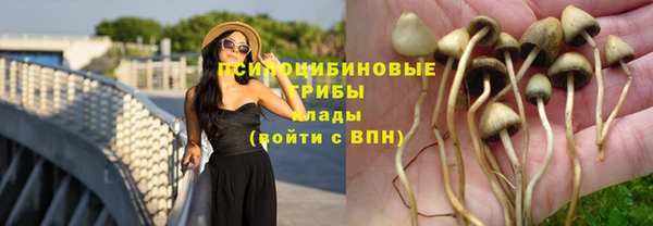 прущие крисы Весьегонск