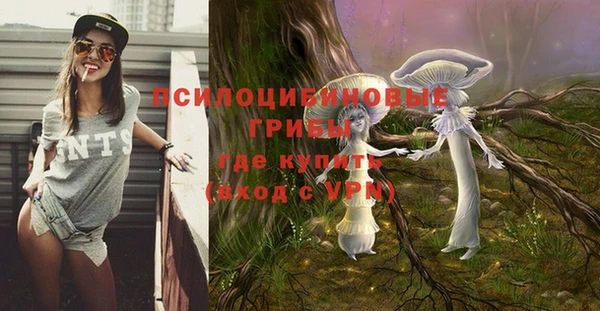 эйфоретик Осташков