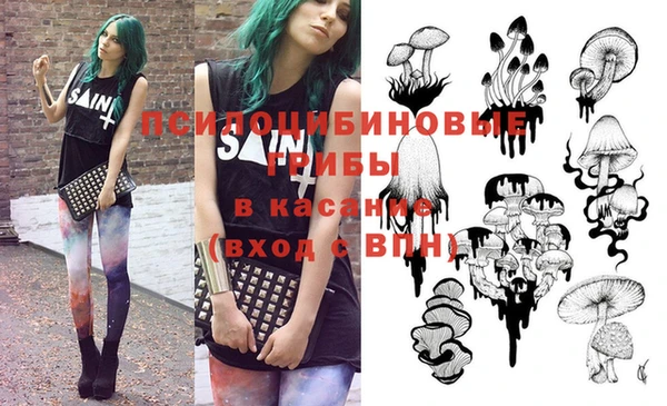 прущие крисы Осинники